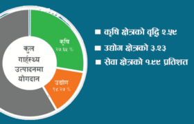 कोरोना महामारीमा पनि आर्थिक सूचक राम्रो