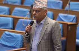 ‘यौन व्यवसाय खुला गर्नुपर्छ’ भनेंको अभिव्यक्तिप्रति घिमिरेले क्षमायाचना मागे